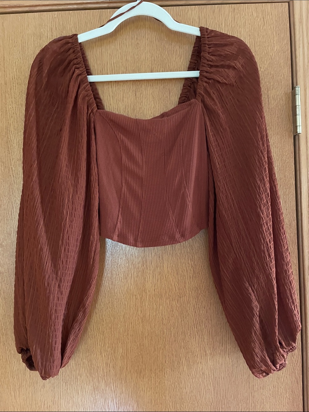 Urban Outfitters Rust Brown Puff-Sleeve Cropped Top